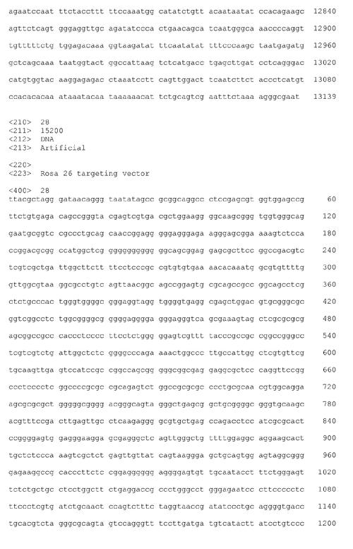 探索游戏18：数字背后的奥秘