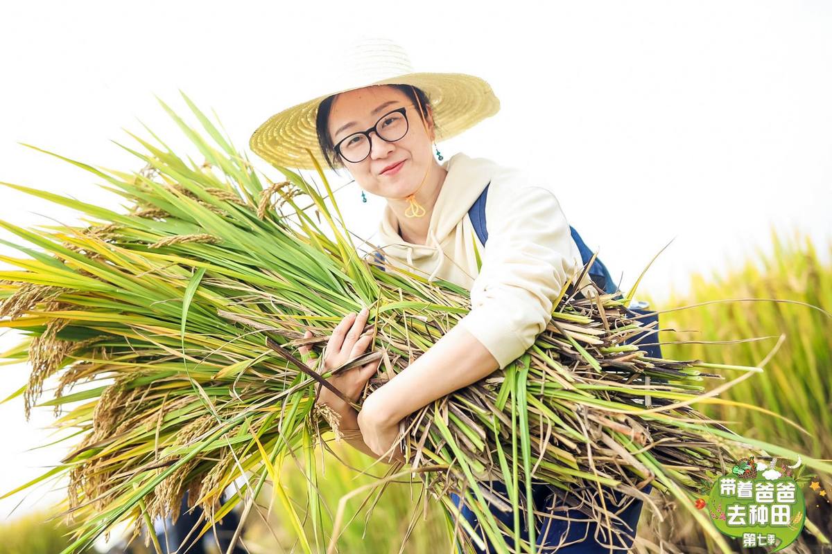 村民职业：传统与现代的交融