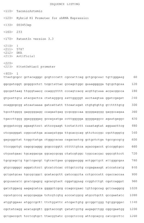 h1探索77x：数字与文化的交响/h1