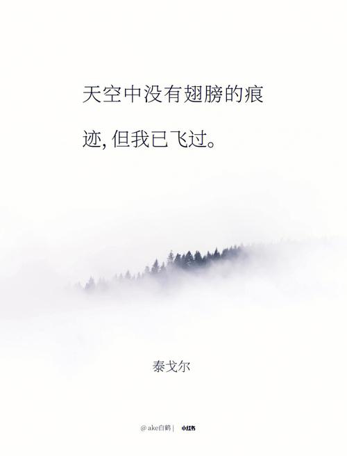 当文学的翅膀触碰现实的边际——“加添”在生活中的微妙作用