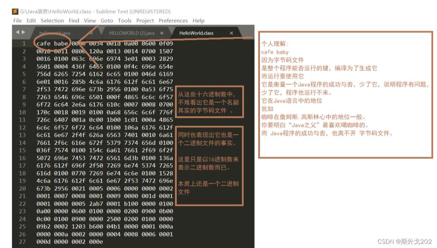 Java编程软件的演变历程从初识代码到智能编程的飞跃