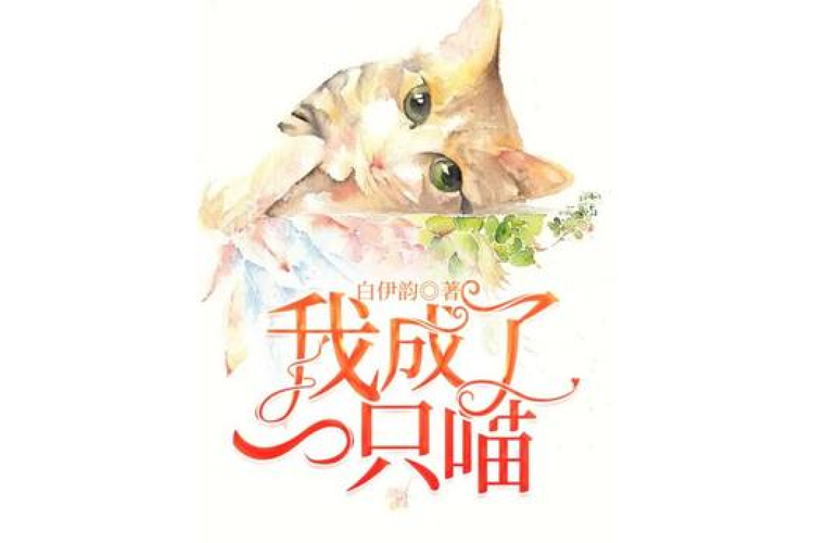 当我变成一只猫，生活变得更加有趣