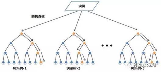 XMind构建思想森林