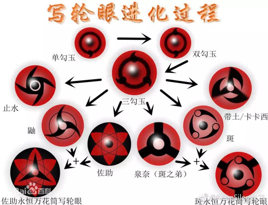 斑的能力斑的技能解析与探索