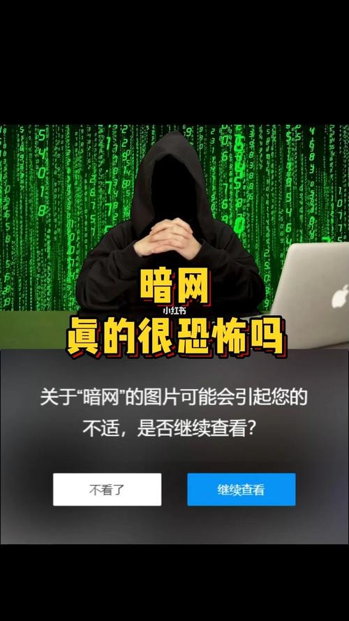 手机上最火3个挖矿软件暗网资金的流动与反制