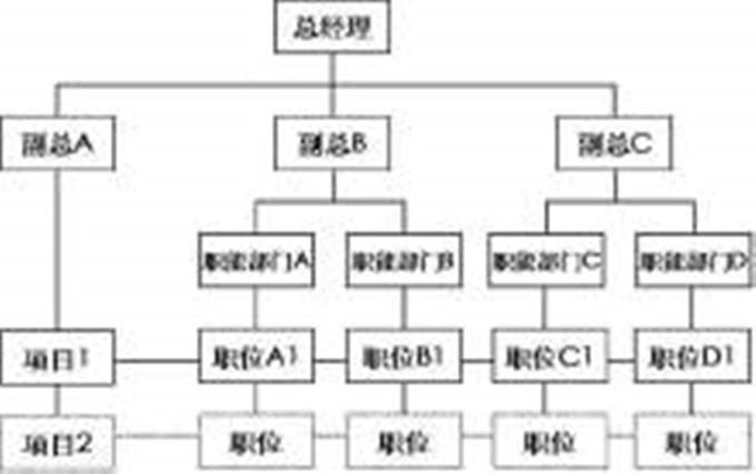 在分工合作中探索高效的组织管理路径