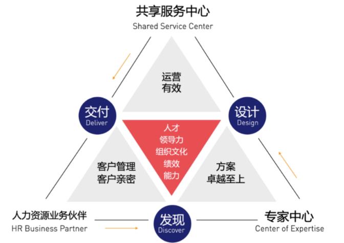 在分工合作中探索高效的组织管理路径