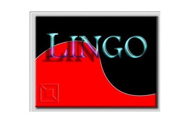 Lingo软件构建语言桥梁的专家