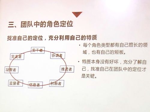 探索雷利技能策略选择与团队角色定位