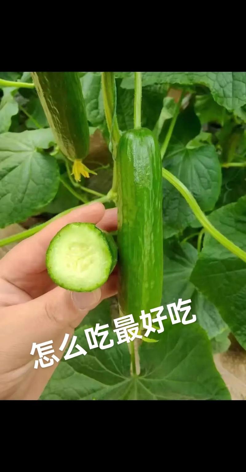 黄瓜视频在线如何用最绿色的方式在线观看视频