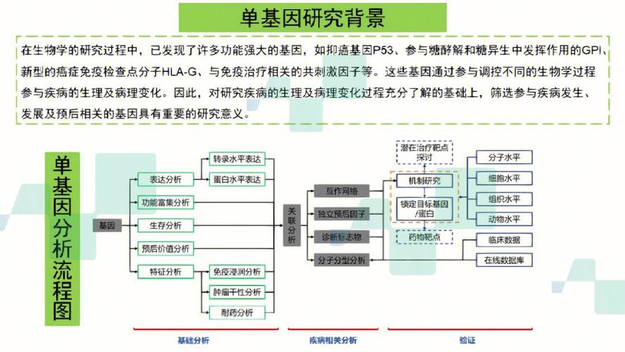 生信技能树从零到一构建个人生物信息学知识体系