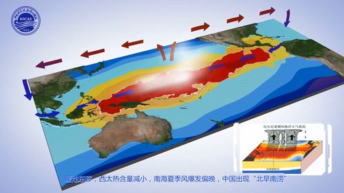 数字海洋太平洋软件下载的启示