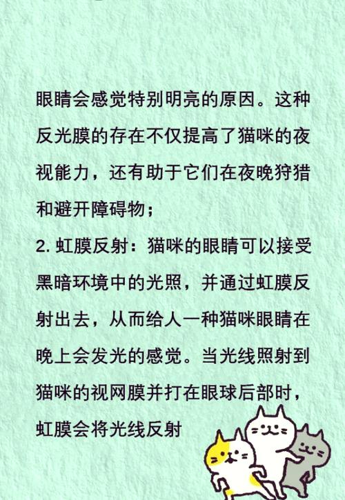 猫社区探索猫咪社会的奥秘