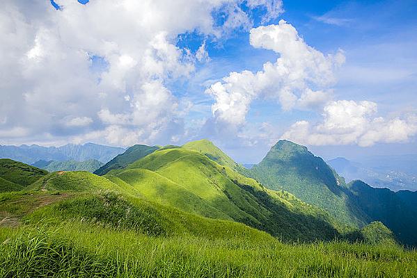 探秘青青草在线视频观看平台数字化草场的创新与实践