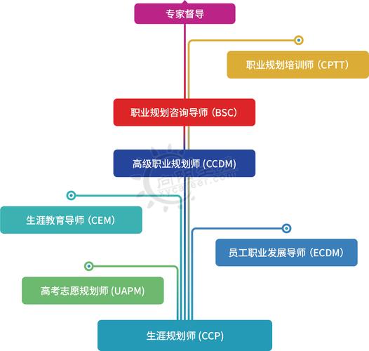 从技能实习生到行业专家构建职业生涯的阶梯