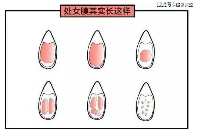 对现代社会中“处女做爱视频”现象的理性审视与人文关怀