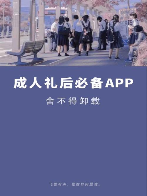 成人游戏APP一场数字世界的“成人礼”