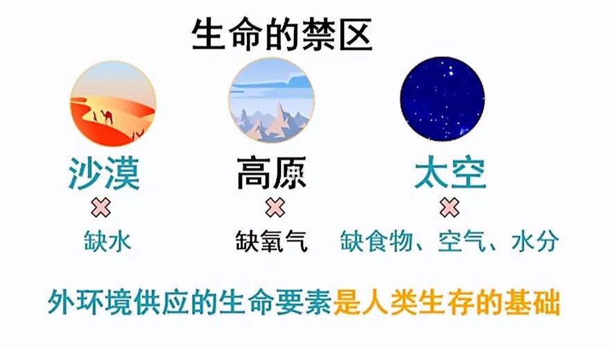 生存技能在未知环境中保持生命的技巧与策略