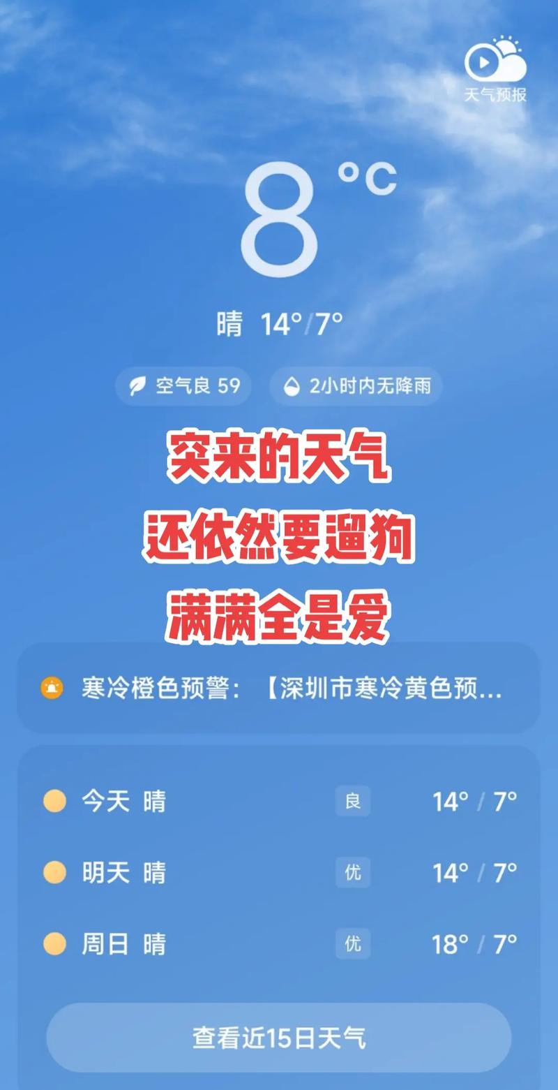 一个寒冷的冬夜，我终于明白了“冻成狗”的真正含义