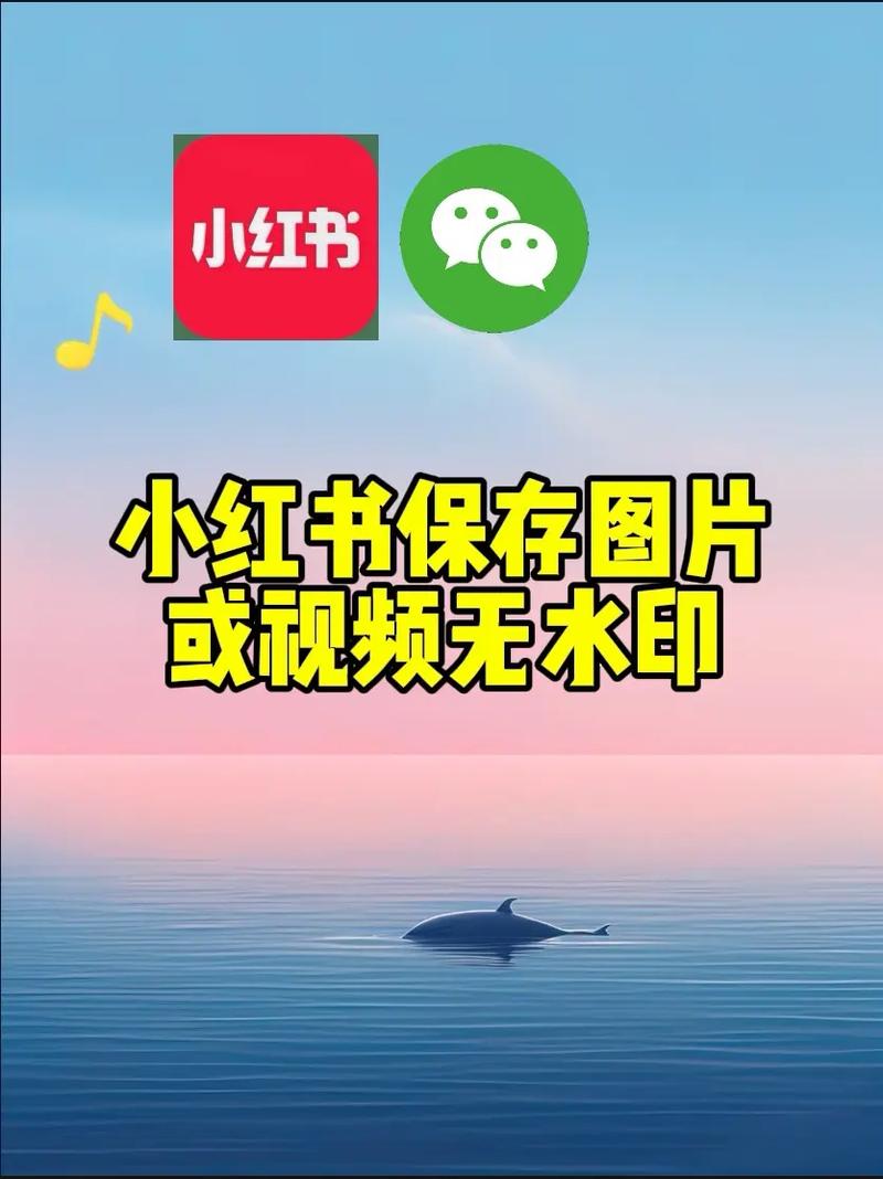 小红书视频解析如何在海量小红书视频中精准挑选内容？必看技巧🔥