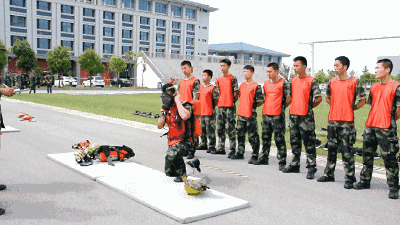 士兵职业技能鉴定从扫雷到挖坑，我们全都要掌握