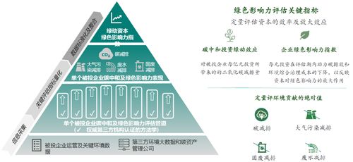 安子轩热数字时代的文化现象与影响力剖析