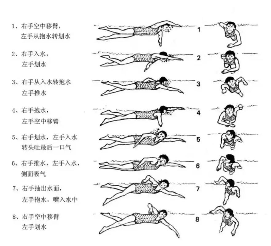 游泳技巧提升从零到高手的快速指南